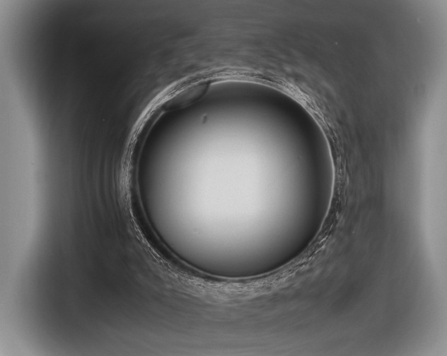 X0000116620007200912111206