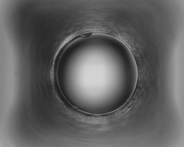 X0000116620008200912111206