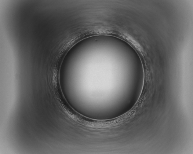 X0000116620009200912111206