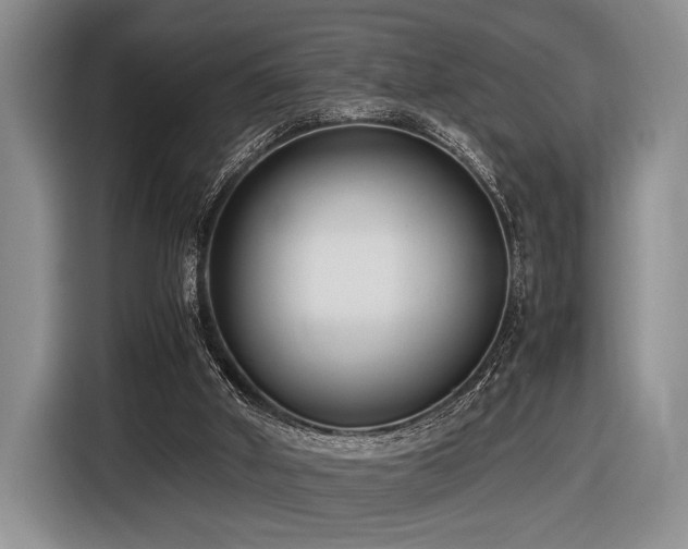 X0000116620010200912111206