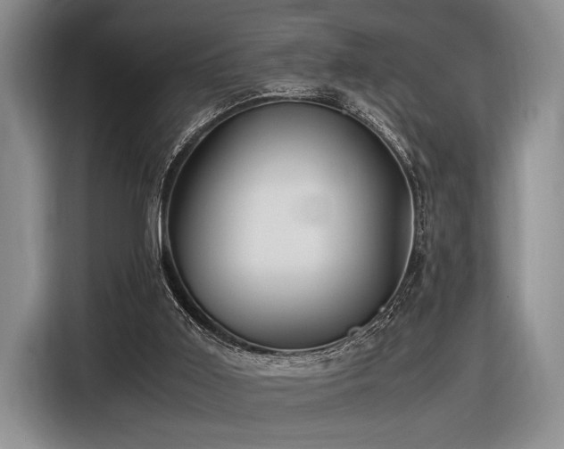 X0000116620011200912111206