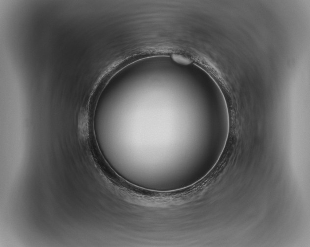 X0000116620012200912111206