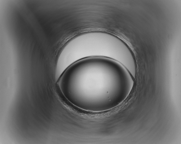 X0000116620013200912111206