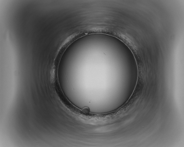 X0000116620016200912111206