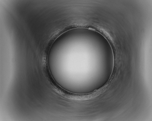 X0000116620017200912111206