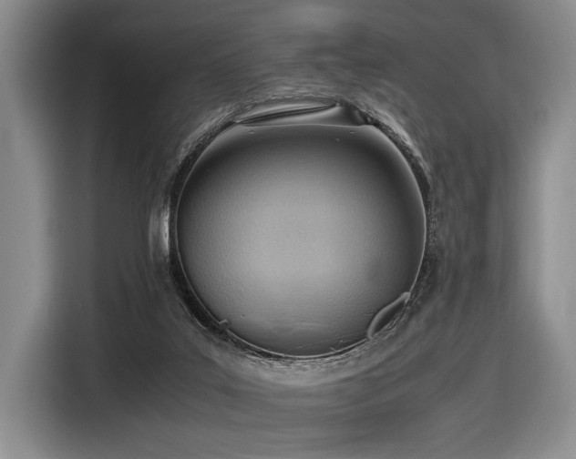 X0000116620019200912111206