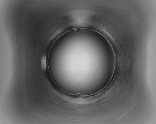 X0000116620020200912111206