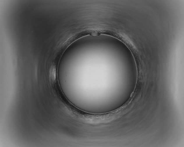 X0000116620021200912111206