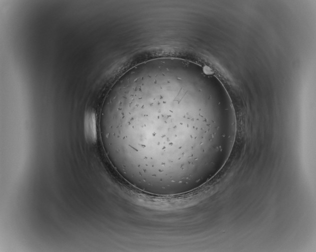 X0000116620022200912111206