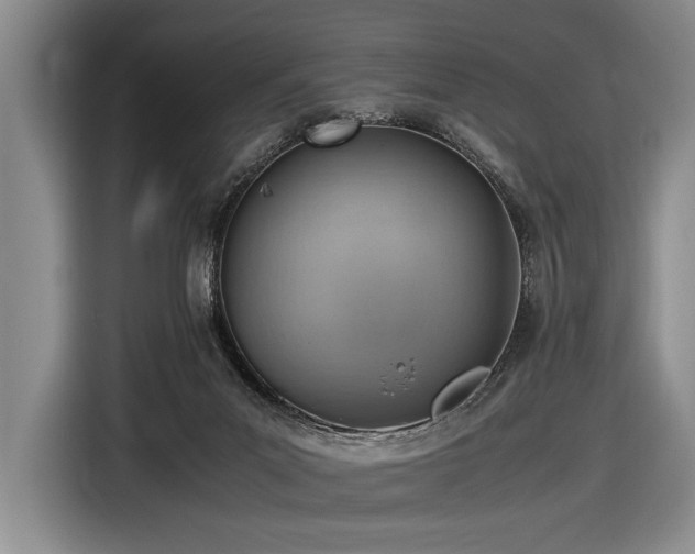 X0000116620023200912111206