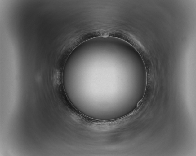 X0000116620025200912111206
