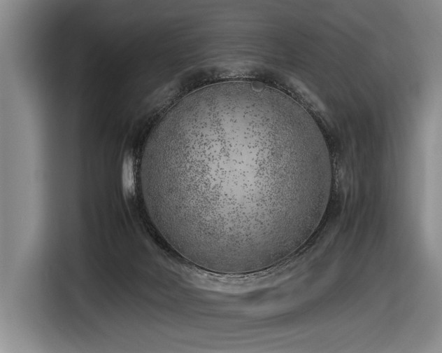 X0000116620026200912111206