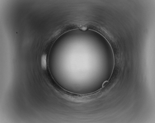 X0000116620028200912111206