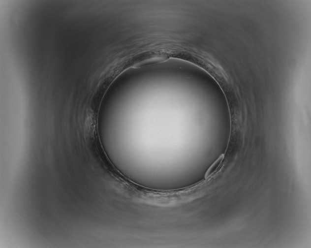 X0000116620029200912111206