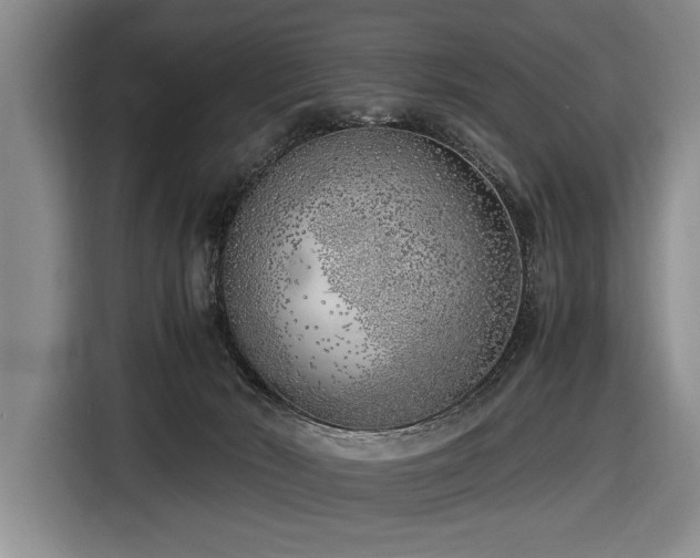 X0000116620030200912111206