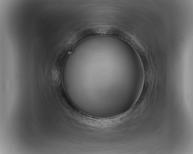 X0000116620031200912111206
