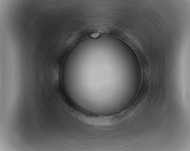 X0000116620032200912111206