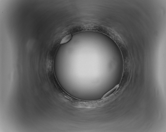 X0000116620033200912111206
