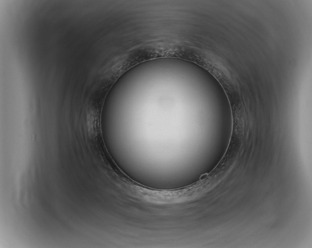 X0000116620034200912111205