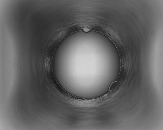 X0000116620036200912111205