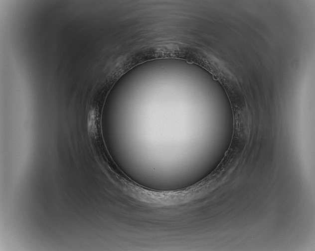 X0000116620038200912111205