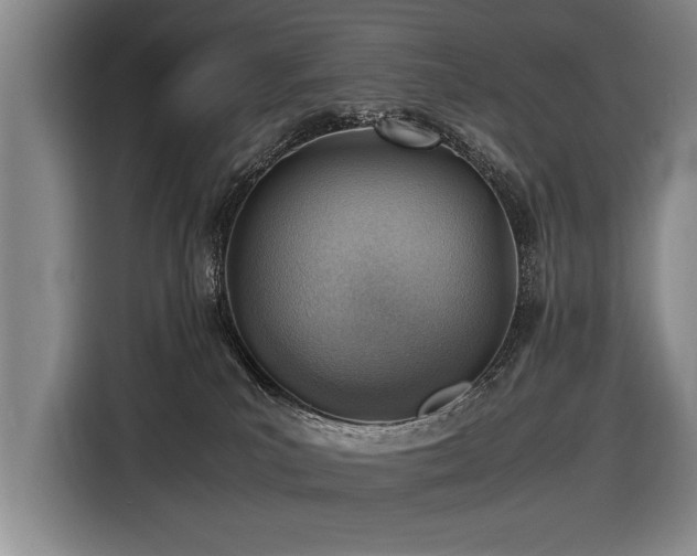 X0000116620039200912111205