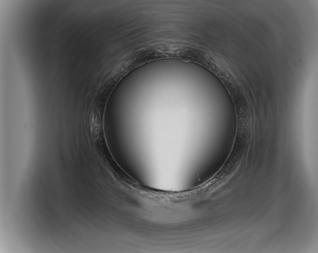 X0000116620040200912111205