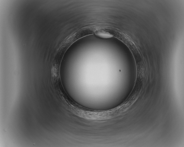 X0000116620044200912111205