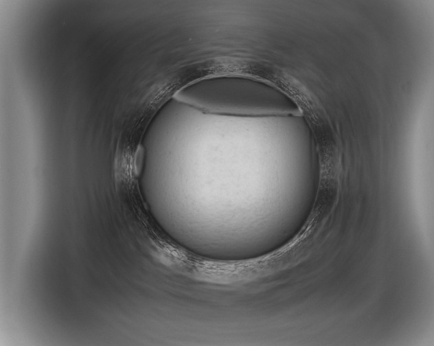 X0000116620045200912111205