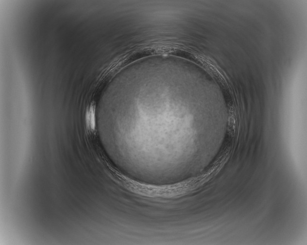 X0000116620046200912111205