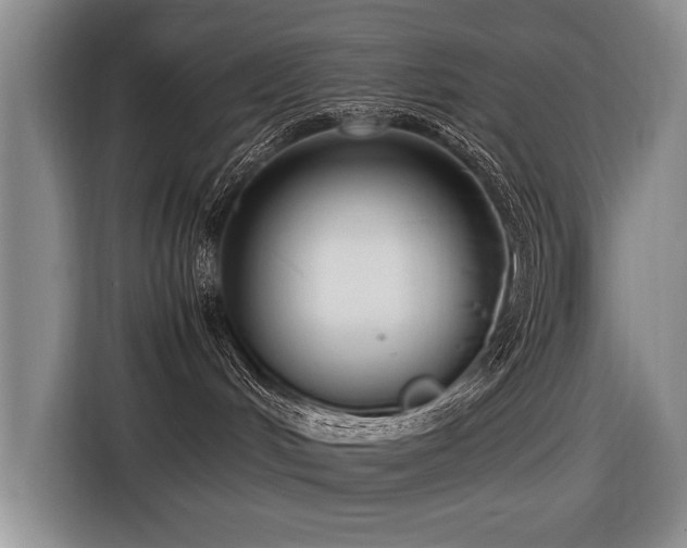 X0000116620048200912111205