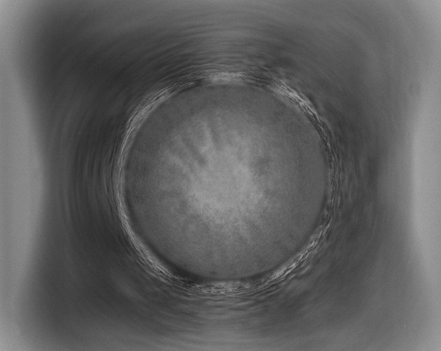 X0000116620049200912111205