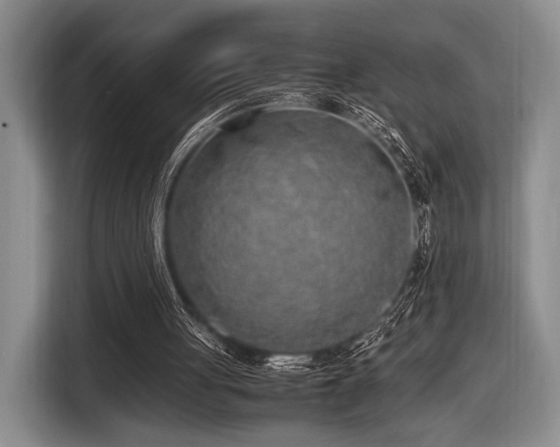 X0000116620051200912111205