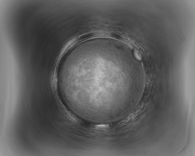 X0000116620053200912111205