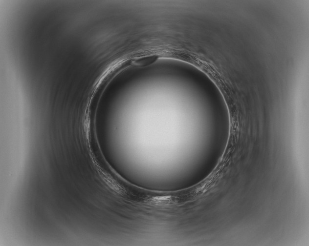 X0000116620054200912111205