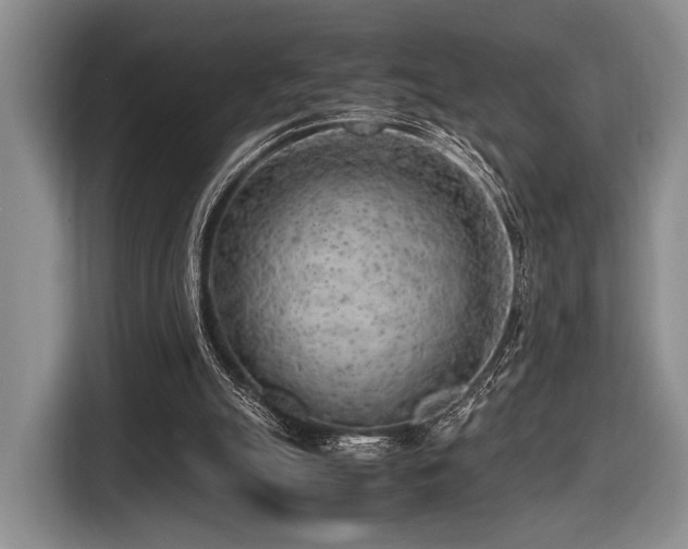 X0000116620055200912111205