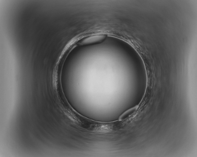 X0000116620056200912111205