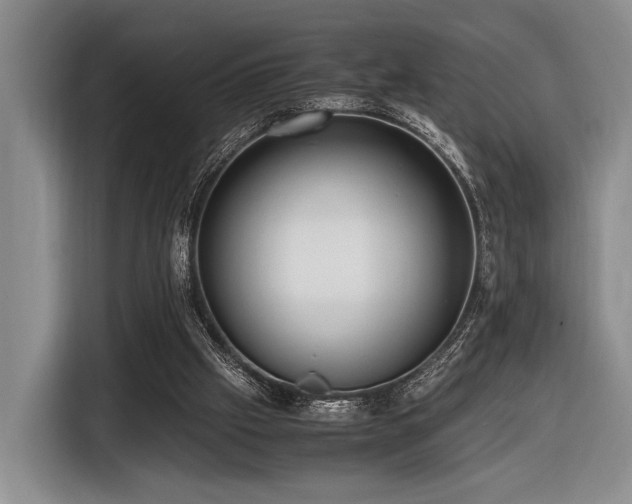 X0000116620057200912111205