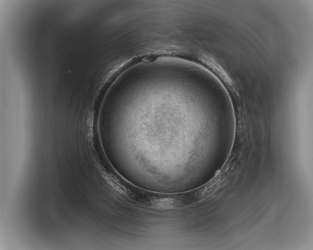 X0000116620058200912111205