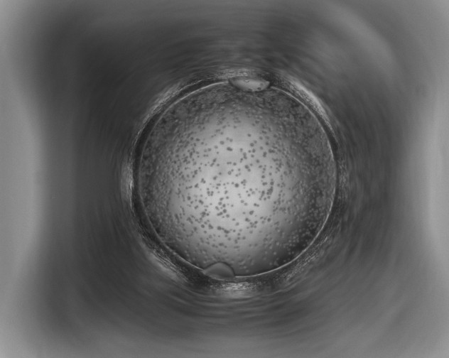 X0000116620059200912111205
