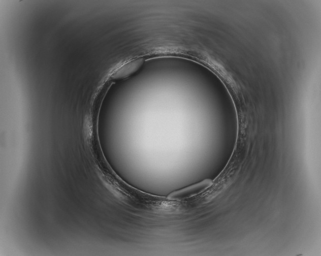X0000116620060200912111205