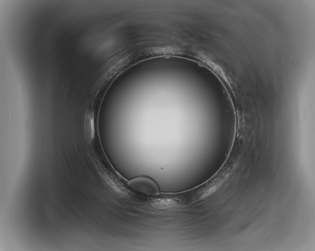 X0000116620061200912111205