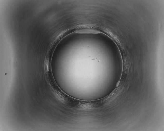 X0000116620062200912111205