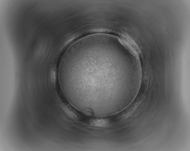 X0000116620063200912111205
