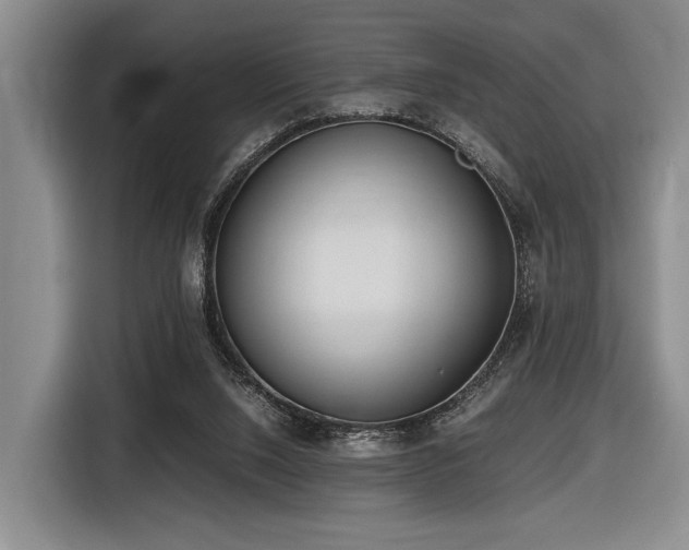 X0000116620064200912111205