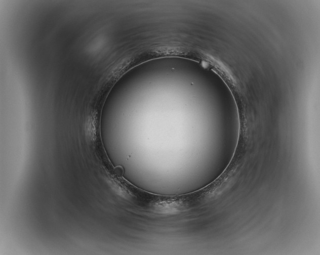 X0000116620065200912111205