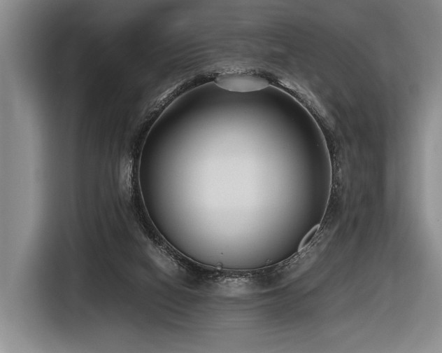 X0000116620066200912111205