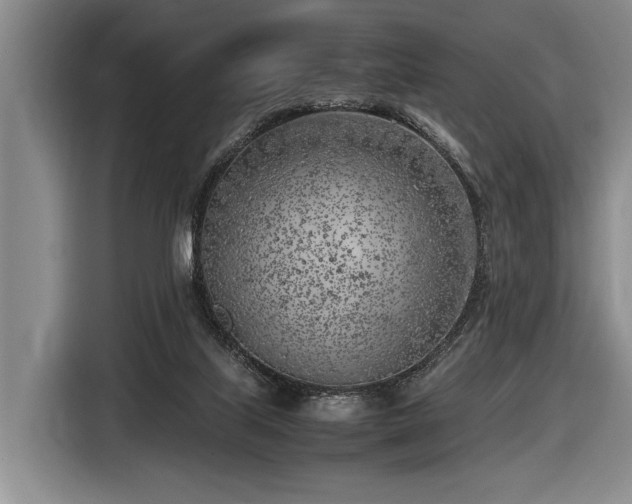 X0000116620067200912111205