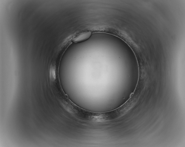 X0000116620068200912111205