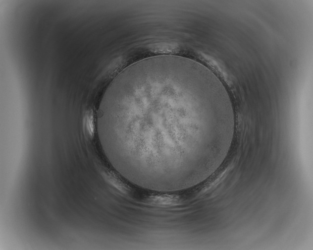 X0000116620069200912111205